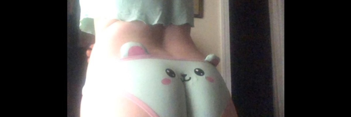 Kitty rose white cover