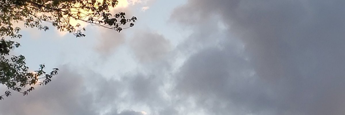 Tinker-bell1331 top 9.1% 💜🧚‍♀️ cover