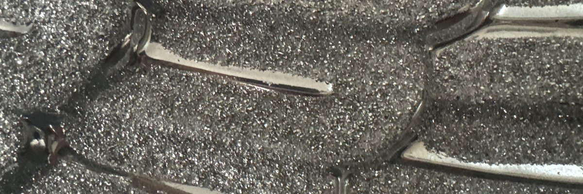 TipToeThruTheTulip cover