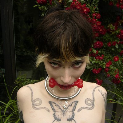 ✧𝕿𝖗𝖎𝖘𝖘✧