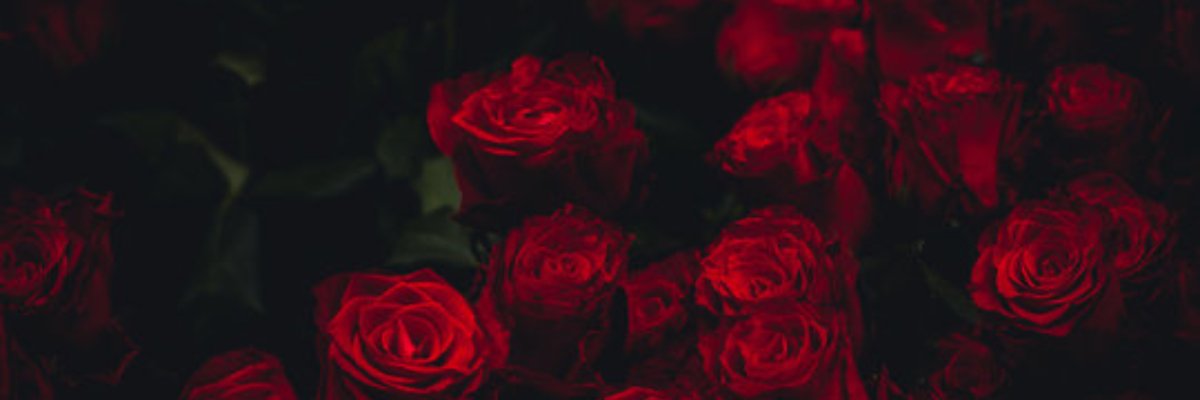 Valarie Rose 🌹 cover