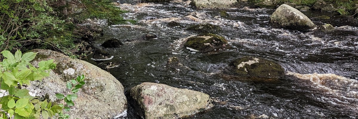 Amorethemerrier cover