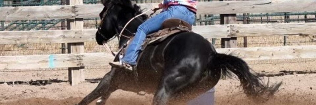 Lacy Lou the Reverse Cowgirl cover