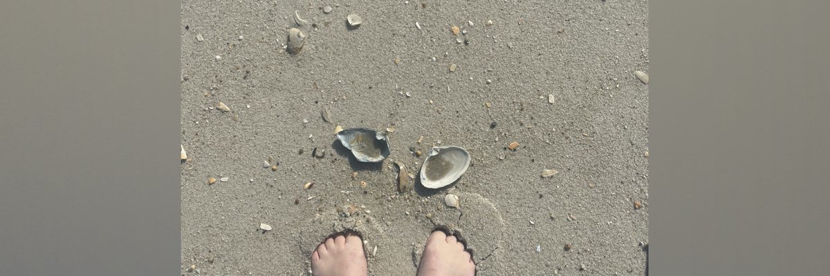 Sea Glass Feet cover