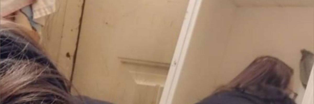 Megan cover
