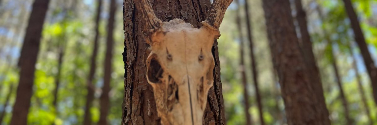 CreepyLittlePagan cover