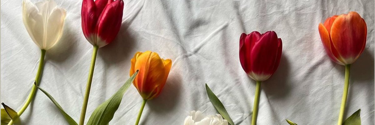 Foryoureyesonly cover