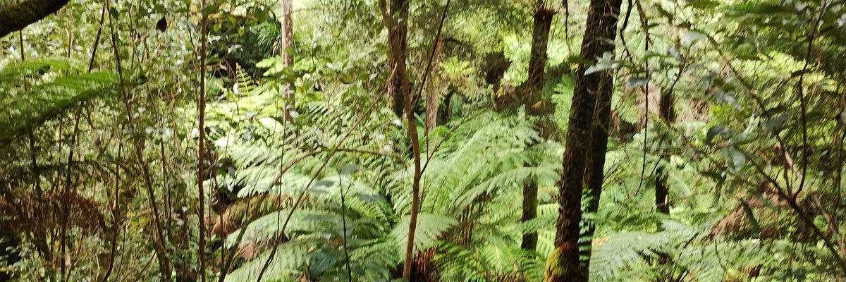 Fitness, cooking, motivation  adventure! cover