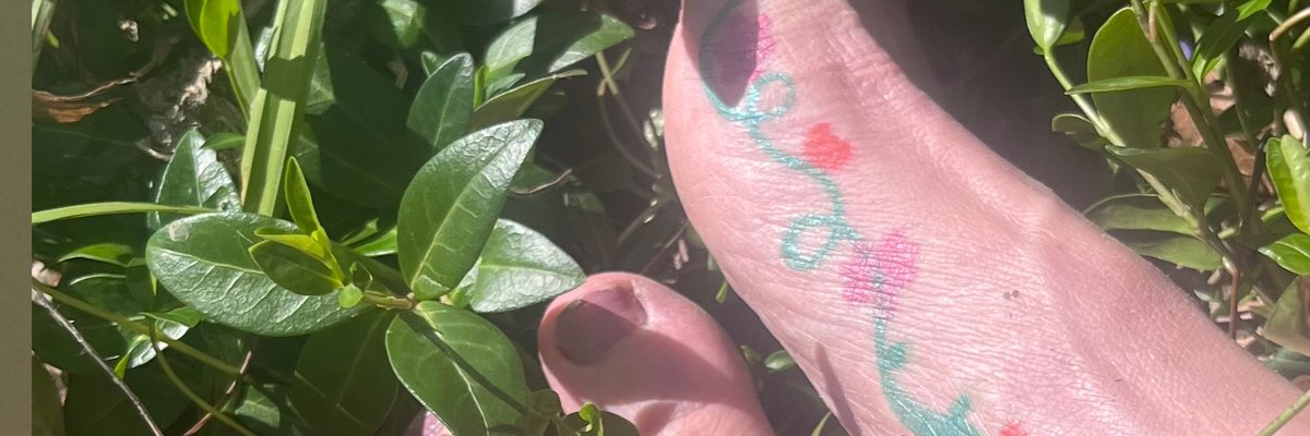 Nature’sFeet cover