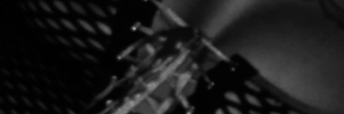 TattedHotwife114 cover