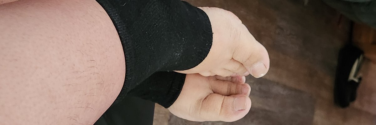 Bug cover