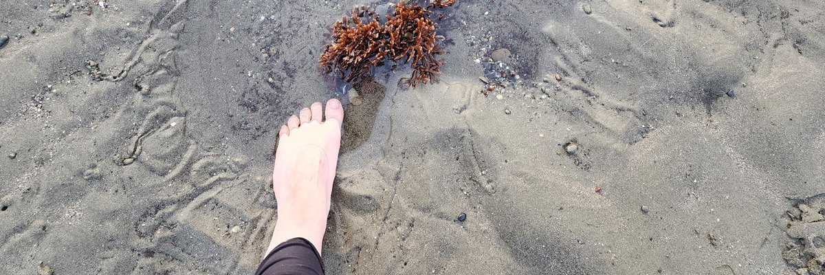 HeatherWantsaspaceship cover