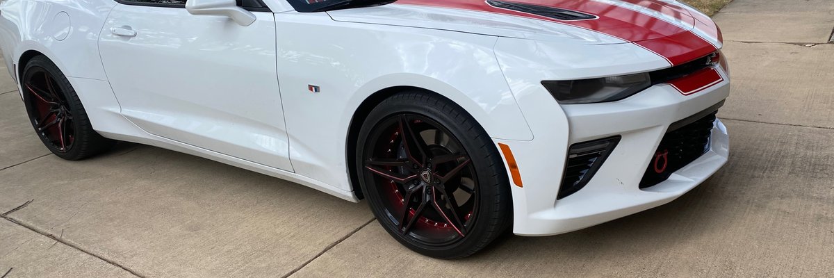 Playmate 🎀  Kimberly cover