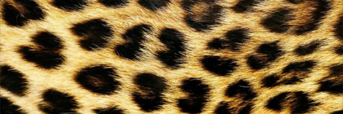 ursula mistress cover