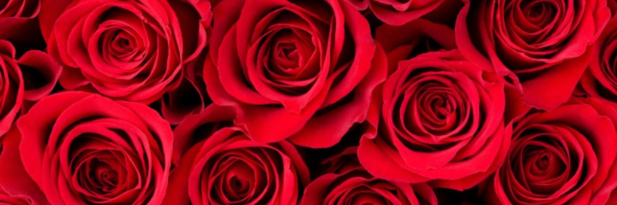 Vanillacremedreamm cover