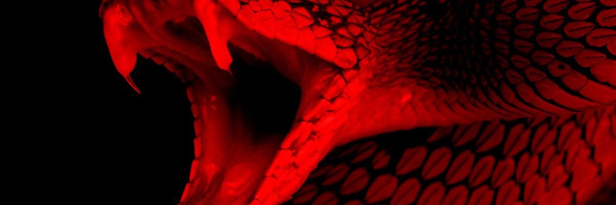 Viper 🦇🧿 cover