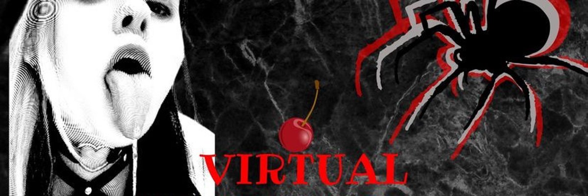 Virtual Housewife cover