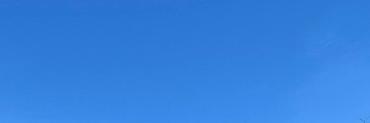 Cherry cover