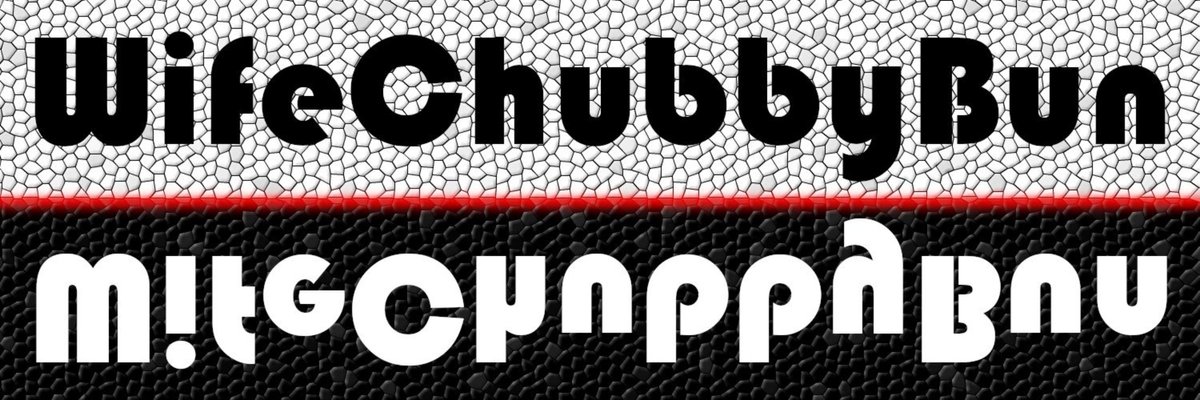 Wife Chubby Bun cover