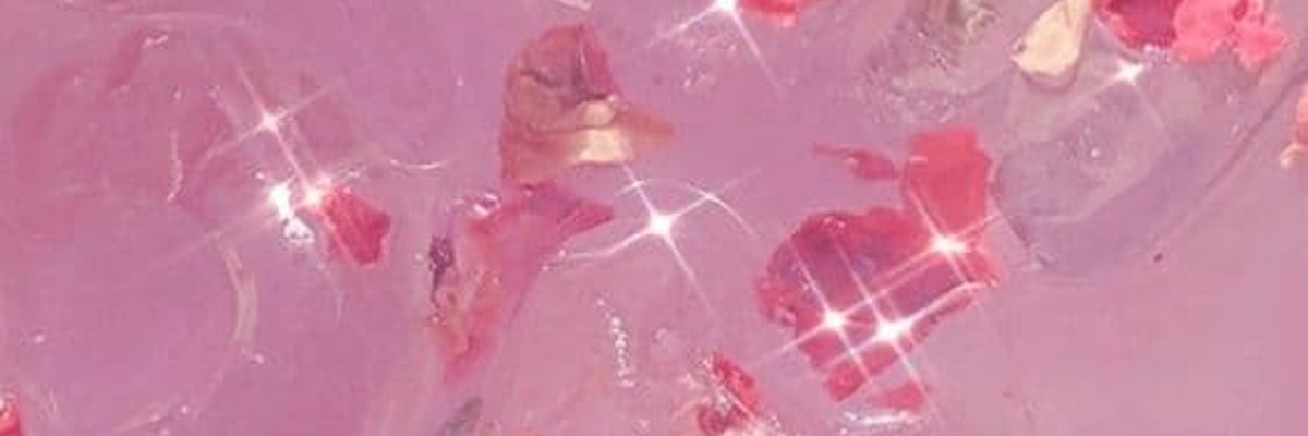 Ollie👾✨🦧 (19) cover