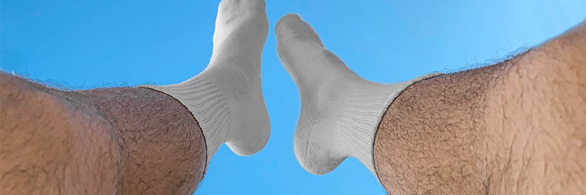 Wolf Socks cover