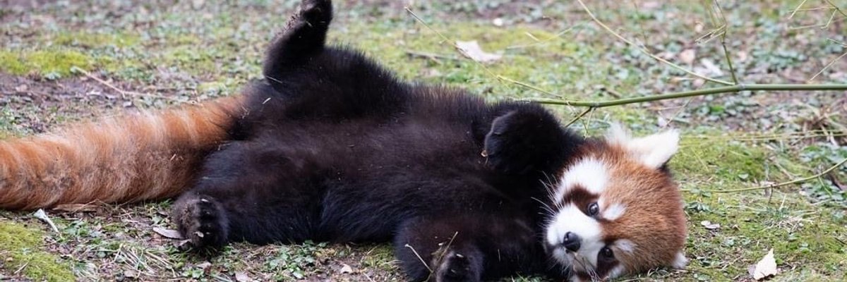 worthlessholes cover