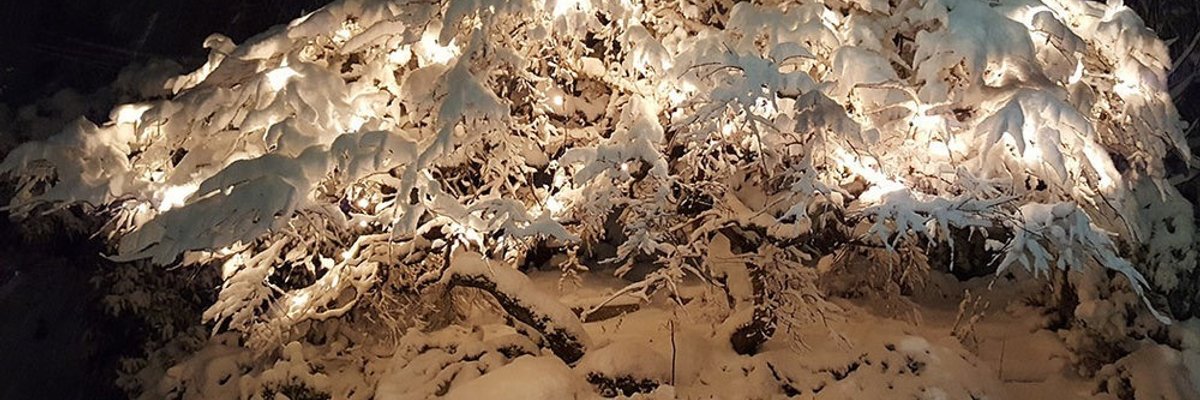 Goddess Mystress - Wynter Roulette cover